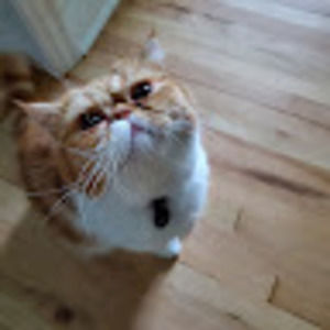 Meet your Posher, Jason